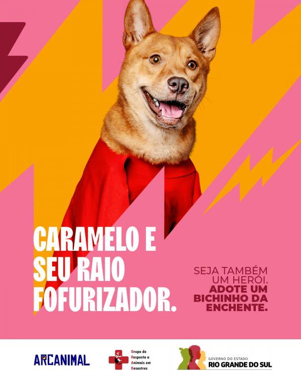 Card com um cachorro caramelo, com uma capa vermelha, sobre um fundo rosa com desenhos de raios alaranjados. Sobre a imagem, o texto, em letras brancas, na parte inferior esquerda: "Caramelo e seu raio fofurizador". Em letras vermelhas menores, no canto inferior direito diz: "Seja também um herói. Adote um bichinho da enchente".