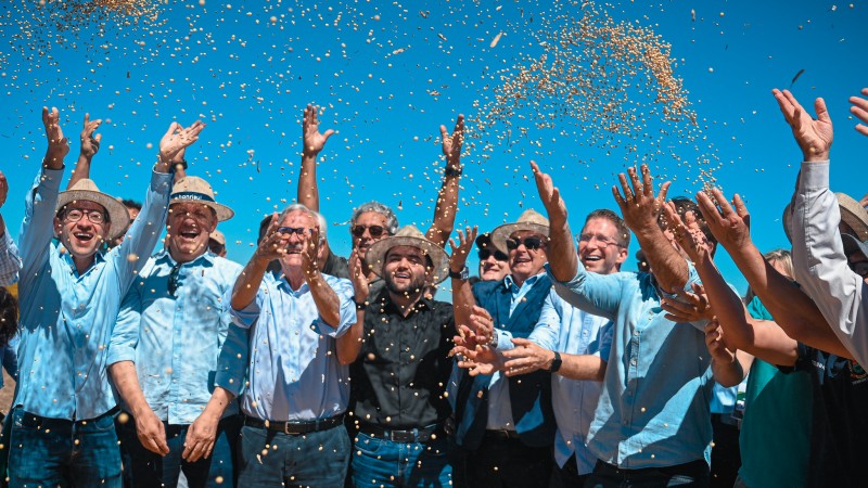 Grupo de cerca de dez pessoas joga gr&atilde;os de soja para o alto em comemora&ccedil;&atilde;o, sob c&eacute;u azul intenso. V&aacute;rios usam chap&eacute;us de palha e camisas claras. No centro, destaca-se um homem de preto. A cena celebra a abertura da colheita da soja.